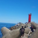 정동진놀자 이미지