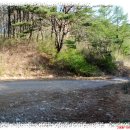 소호농장 이미지