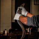 신안바다장어 이미지