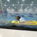 물개키즈스윔 이미지