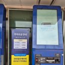 클럽트리플엑스 | 경주월드 캘리포니아비치 후기-할인정보, 이용시간, 준비물