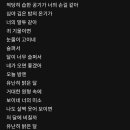 사랑하는 형원, 우리가 유일하게 공유하는 것. 이미지