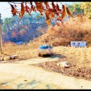 이산면사무소 이미지