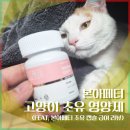 고양이 초유 영양제 추천 (본아페티 헤어볼 캡슐 후기)