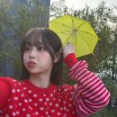 츄 카카오 검색결과