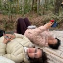 오무시 | [시즈오카/이즈반도] Day 4,5. 슈젠지, 오무로산, 아타미 료칸 ‘Hiratsuru’, 후지노미야 밥집 ‘米...