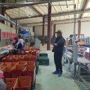 엄마네농장 이미지