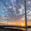 푸른신창 이미지