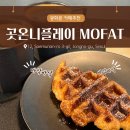 서울 광화문역 와플 맛집 곳온니플레이스 MOFAT 애견동반 가능한 카페