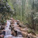 담양 남도여행 코스 이미지