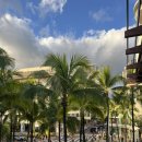 하와이야시장 | [하와이] 호놀룰루 여행2 _ 결국 나도 가봤다 울프강 스테이크하우스 후기