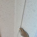 덕진봄아파트 이미지