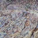 지금여기(now&here) 이미지