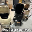 우신중학교 | 2025 광주펫페어 강아지유모차 개모차