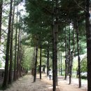 지하철역사 (갈마역) 이미지