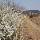 자성대 요양병원 이미지