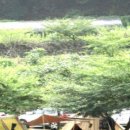 무릉도원 이미지