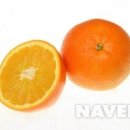 오렌지 티스토리
