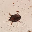 Dr.오즈동물병원 이미지