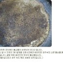 바이러스폐렴 예방과 치료약을 좀 알아 냈습니다 이미지