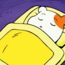 림스토리 이미지