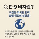 SG인터내셔널 (SG International)
