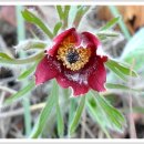 합천호둘레길 이미지