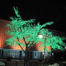 엑스포홍보관 이미지