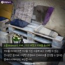 낚시체험카페 이미지