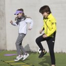 페이스웨어 이미지