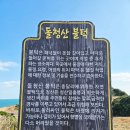 제주 토끼섬 문주란자생지 | [제주여행] 제주 동쪽 여행지, 돌청산 불턱(종달리불턱), 토끼섬(문주란자생지) 뷰 멜튼개