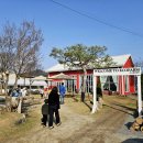 서상농장 | 진천 에코팜 아이와 가볼만한곳 동물 먹이주기!