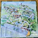 온양전통시장(샘솟는거리) | 아산·세종 볼거리 온양온천전통5일장과 베어트리파크