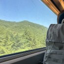 지천농장 | 충북보은 1박2일 : 속리산 법주사 정이품송 꼬부랑길카페