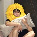 다사랑치킨피자봉동점 | 죽기 살기로 달려봐