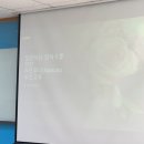 생각이 자라는 하브루타 이미지