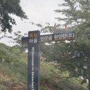 엄지맥주 | 남해 독일마을 맛집 옥토버┃오션뷰를 보며 독일식 소시지와 생맥주 먹어본 후기