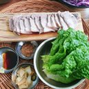 제미니국수 티스토리