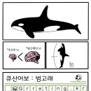 바다어보