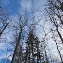 하늘호수 이미지