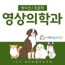 24시 대전동물의료센터 이미지