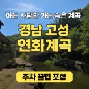 에쿠스모텔 | 🌿 경상남도 고성 연화계곡, 아는 사람만 찾는 진짜 힐링 스팟 🌿(주차부터 물놀이, 자리 선점까지 꿀팁...