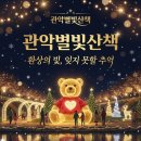별자리 조형물(12 | 겨울밤을 수놓는 환상의 빛 축제, 2025 관악별빛산책 후기