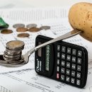 세무회계봄 이미지