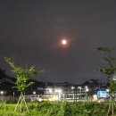 달뜰