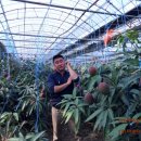 봉수농장 이미지