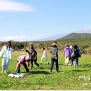 머체왓숲길영농조합 | 팀빌딩 프로그램 제주도 머체왓숲길 힐링워크샵 추천 feat (주)제주생태관광