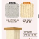 달과고양이 | 먼지없는 고양이 스크래쳐 파이오니아 내돈내산 추천(+한달사용 후기)