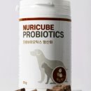 오복누리 이미지