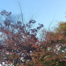 봉오재공원 이미지